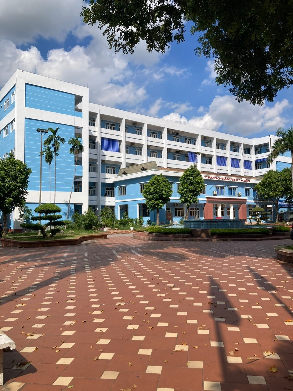 1c1